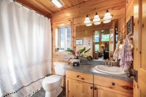 Baño de cabaña de madera con inodoro blanco, lavabo con espejo sobre él y una planta en maceta en el mostrador.