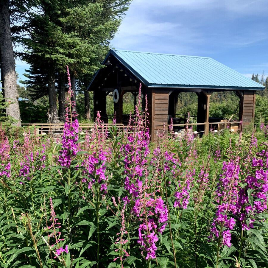 Parco della struttura