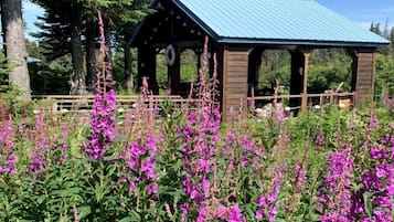 Parco della struttura