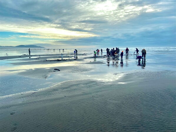 On the beach