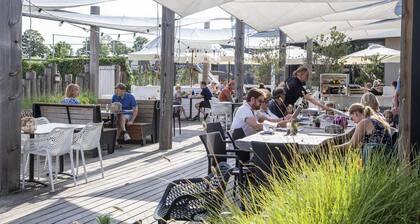 Private terrace, dogs allowed, close to the animation
