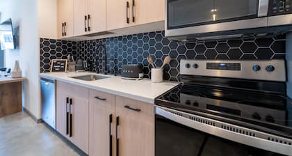 Beautiful Modern 2-Bed in DT Vista!