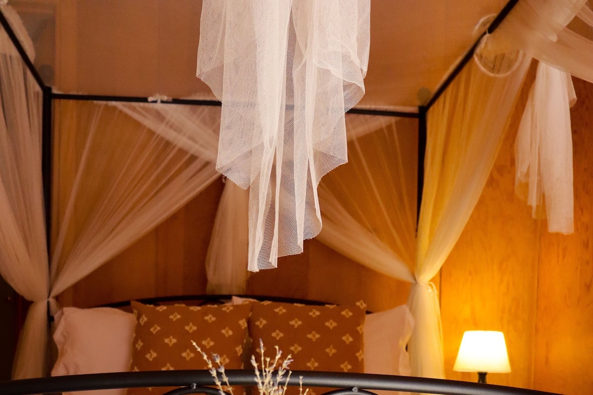 A bed with a metal frame, white bedding, and a canopy. There is a vase with dried flowers on the bedside table.