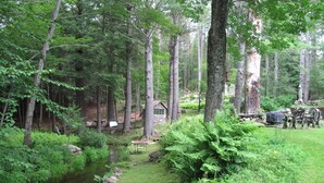A forested campsite with a small cabin, a picnic table, and a tent.