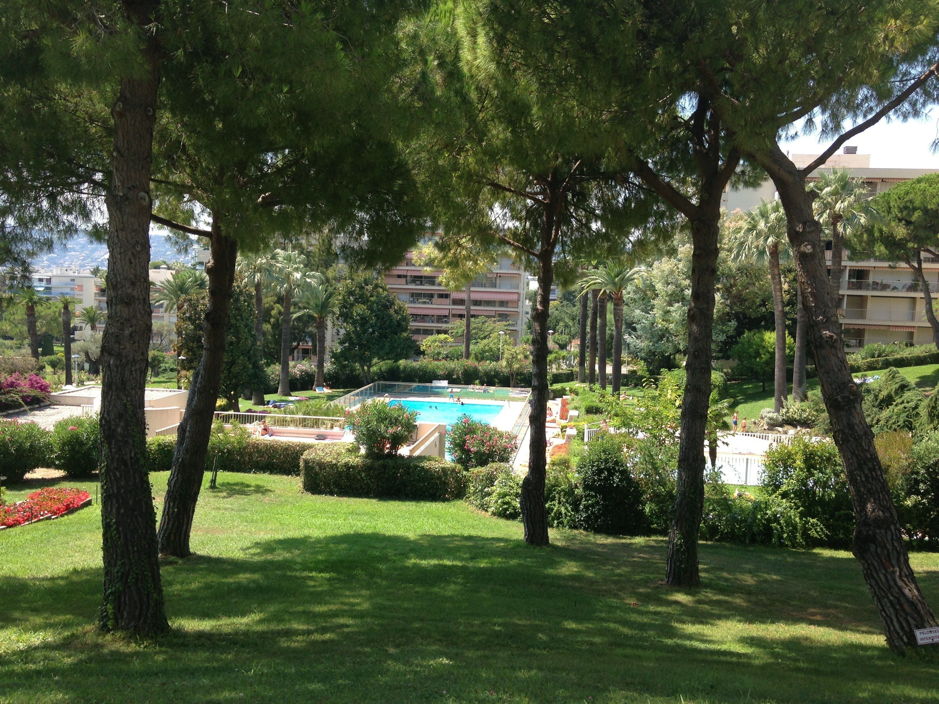 A pool surrounded by lush greenery and trees, with a building in the background.
