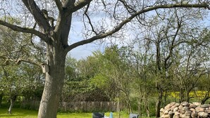 Un árbol con un comedero para pájaros, una mesa con sillas y un muro de piedra en un área cubierta de hierba.