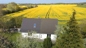 Una casa con techo inclinado, rodeada por un campo de flores amarillas, y un árbol en primer plano.