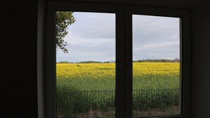 Una ventana con vistas a un campo de flores amarillas y una valla de metal.