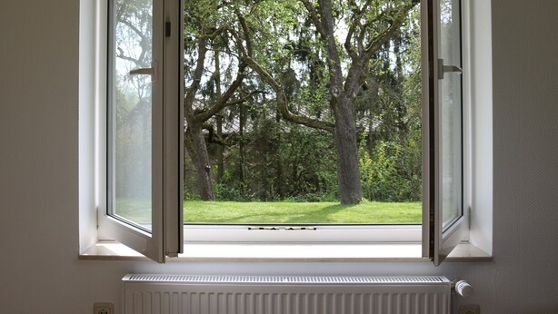 Una ventana con vista despejada a un paisaje verde con árboles.