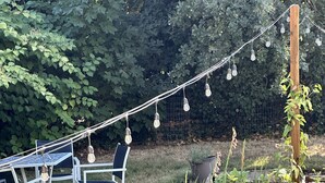 A garden with a table and chairs, string lights, and various plants. - Soleil Salem- extended stays, free laundry, garden (Salem)