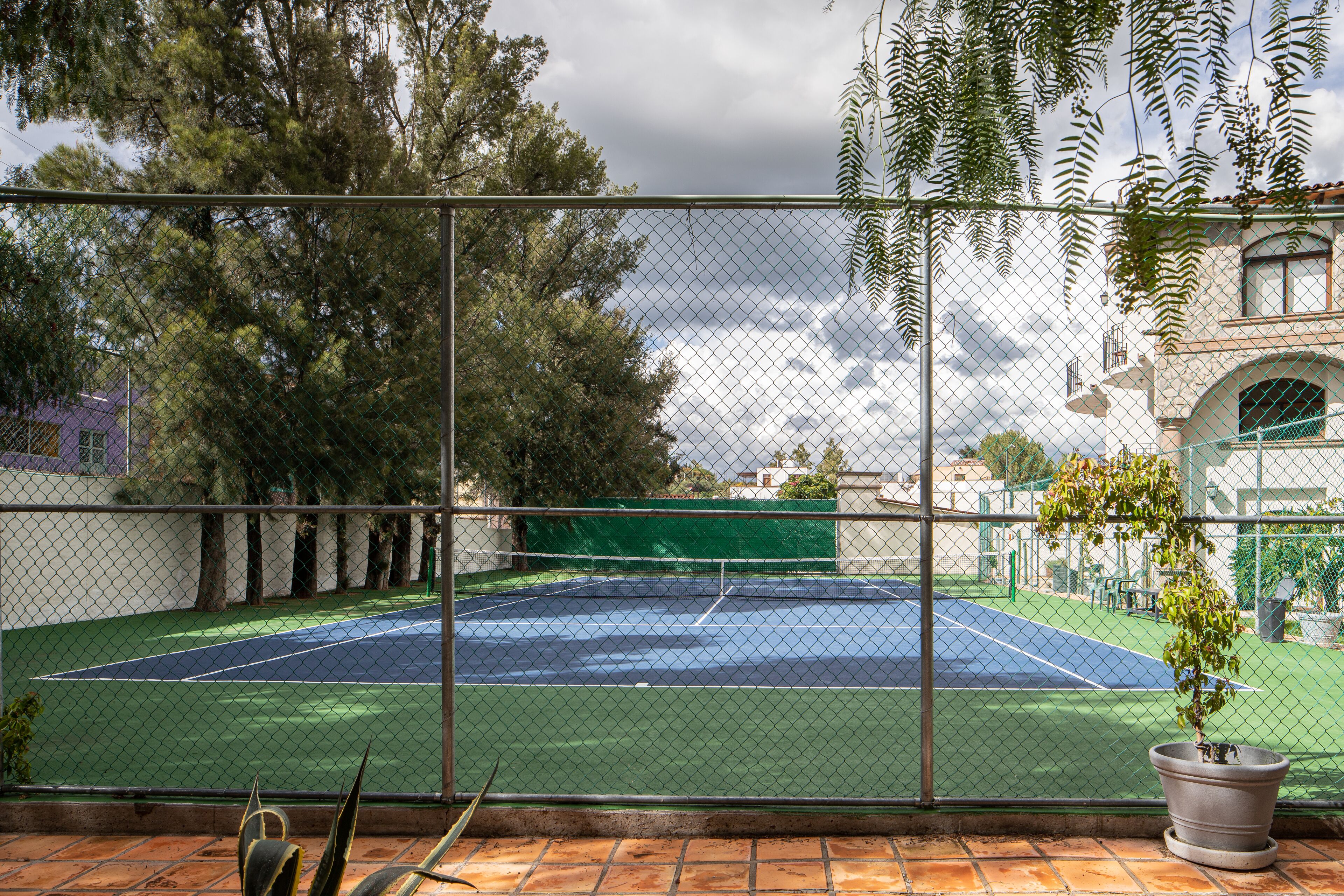 Una cancha de tenis rodeada por una cerca de malla metálica, con una planta en maceta a la derecha.