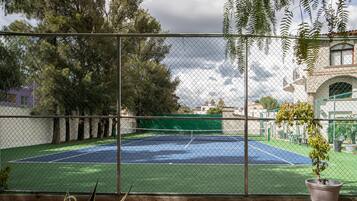 Una cancha de tenis rodeada por una cerca de malla metálica, con una planta en maceta a la derecha.