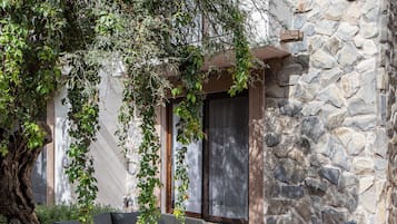 Superior Apartment | Terrace/patio
