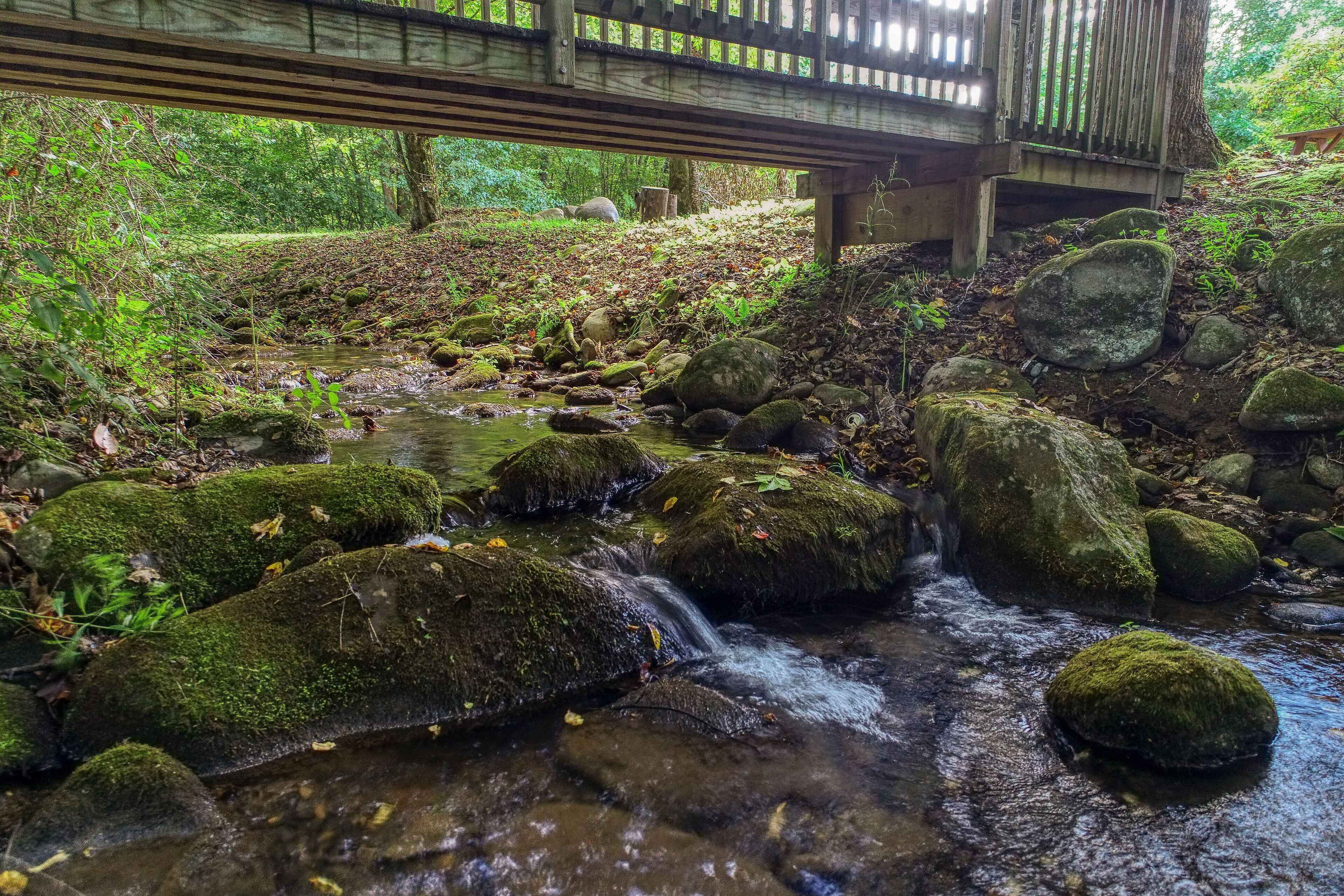 Un puente de madera sobre un arroyo con rocas cubiertas de musgo y una pasarela de madera.