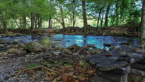 A natural outdoor setting with a stream, rocks, and trees. - Beautiful Authentic Log Cabin on Cosby Creek (Cosby)