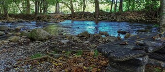 Beautiful Authentic Log Cabin on Cosby Creek
