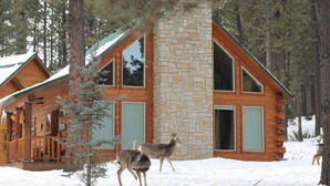 Une cabane en rondins avec une cheminée en pierre, de grandes fenêtres et une véranda.