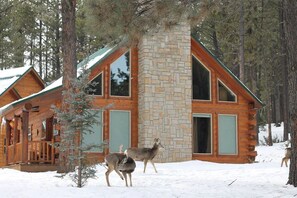 Exterior - Angel Fire Retreat Cabin (Angel Fire)