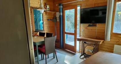 T3 chalet in quiet leisure park with swimming pools