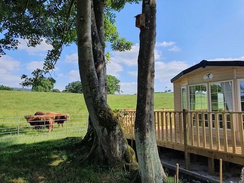 Gaerhyfryd Static Caravan