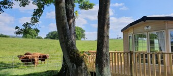 ゲーイフリド スタティック キャラバン