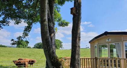 Gaerhyfryd Static Caravan