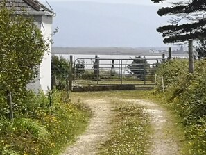 House | Property grounds