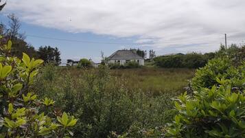 House | Property grounds