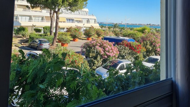 Une vue depuis une fenêtre donnant sur un parking où se trouvent plusieurs voitures, un grand arbre et un immeuble doté de balcons.