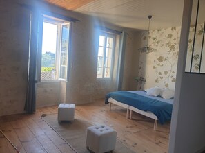 1 chambre, fer et planche à repasser
