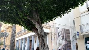 Une rue bordée d’arbres, avec un bâtiment à l’architecture classique, comprenant des colonnes et un balcon.