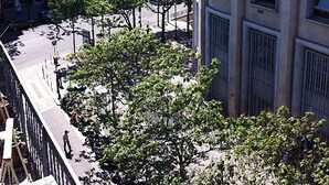 Eine Stadtansicht mit mehrstöckigen Gebäuden, einer Fußgängerzone mit Bäumen und einer Straße mit einer Barriere.