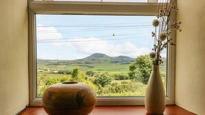 Una ventana con vistas a un paisaje verde y una montaña.