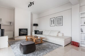 Smart TV, fireplace, books