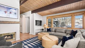 Télévision, cheminée, chaßne hi-fi