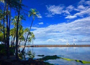 A calm beach with palm trees and sailboats. - Kohala Estate Home 3 Bedroom Estate by RedAwning (Kamuela)