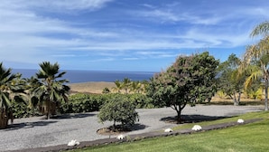 A landscaped area with a gravel path, green grass, and various trees, including palm trees, leading towards a view of the ocean. - Kohala Estate Home 3 Bedroom Estate by RedAwning (Kamuela)
