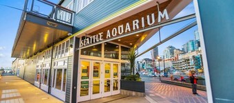 Isla's sweet suite - Micro Studio - 91Walkscore