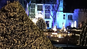 Un bâtiment bien éclairé, doté d’une grande coupole illuminée au centre, entouré d’arbres et d’un étang.