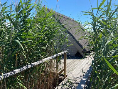 Reed hut / pile dwelling on Lake Neusiedl