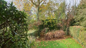 Un giardino con tavolo e sedie gialle, circondato da piante e un prato.