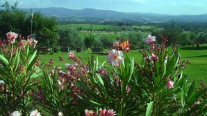 Un jardin fleuri offrant une vue sur un paysage verdoyant, avec des arbres et des collines.