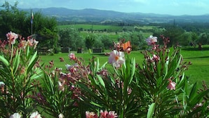 Ein Garten mit Blumen und Blick auf eine grüne Landschaft mit Bäumen und Hügeln.