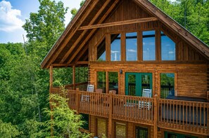 Exterior - A View From Above- true log cabin, 10 minutes to Dollywood and Pigeon Forge! (Sevierville)