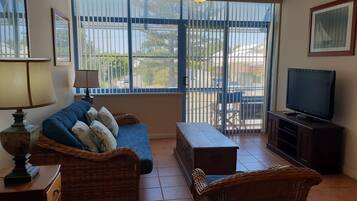 TV, DVD player, books