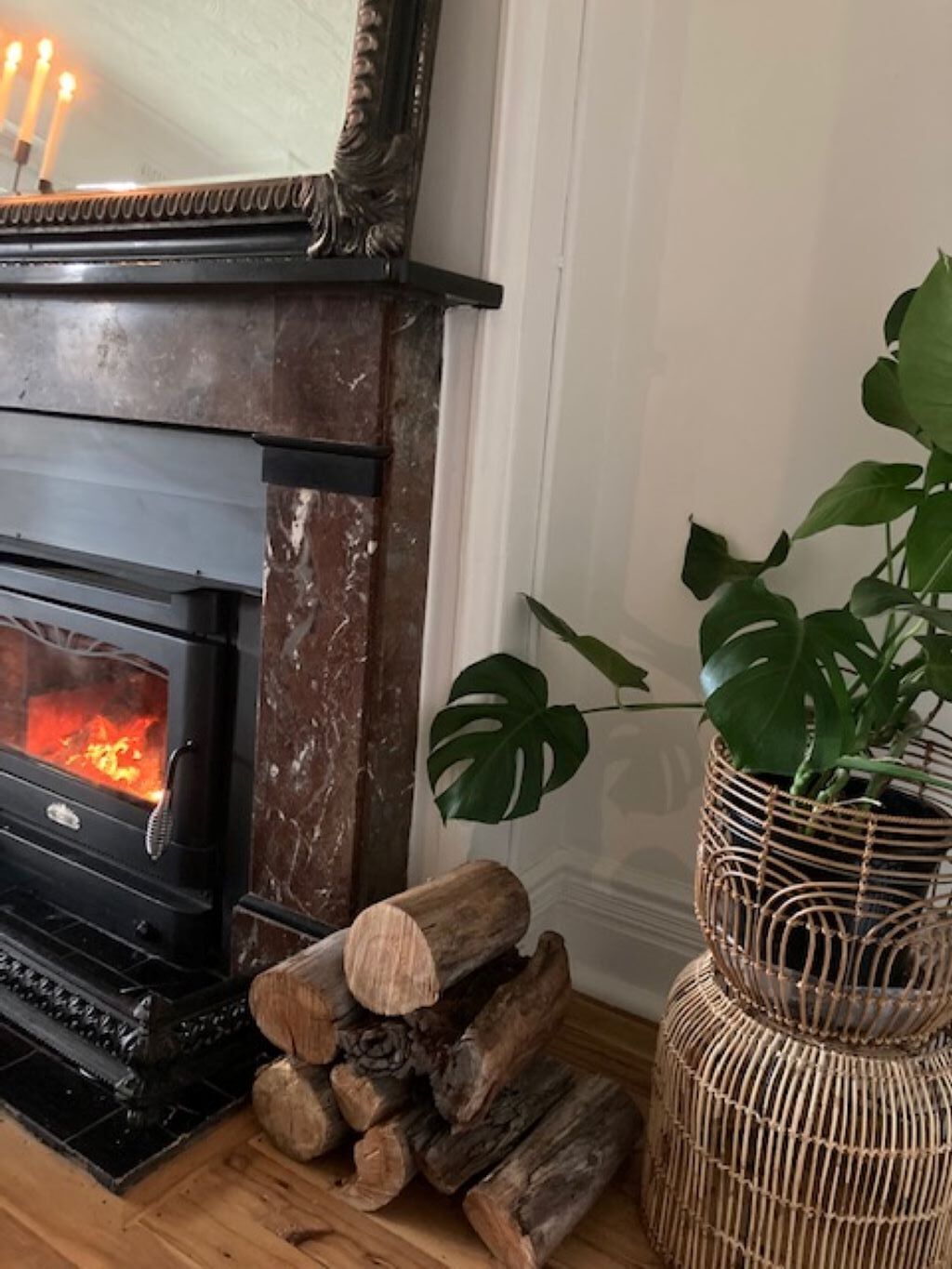 Une cheminée avec un feu de bois, une pile de bûches et une plante en pot.