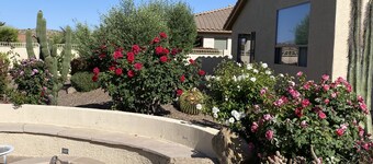 Awesome views and breeze on the back patio