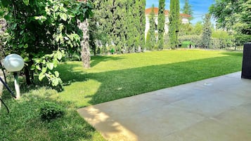House | Property grounds
