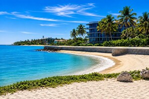 A beachfront hotel with a sandy beach, palm trees, and a clear blue ocean.