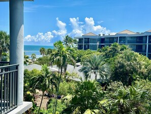 Property grounds - Magical Sunrises on the Atlantic, Upgraded Condo & 10 minutes to Downtown. (Key West)